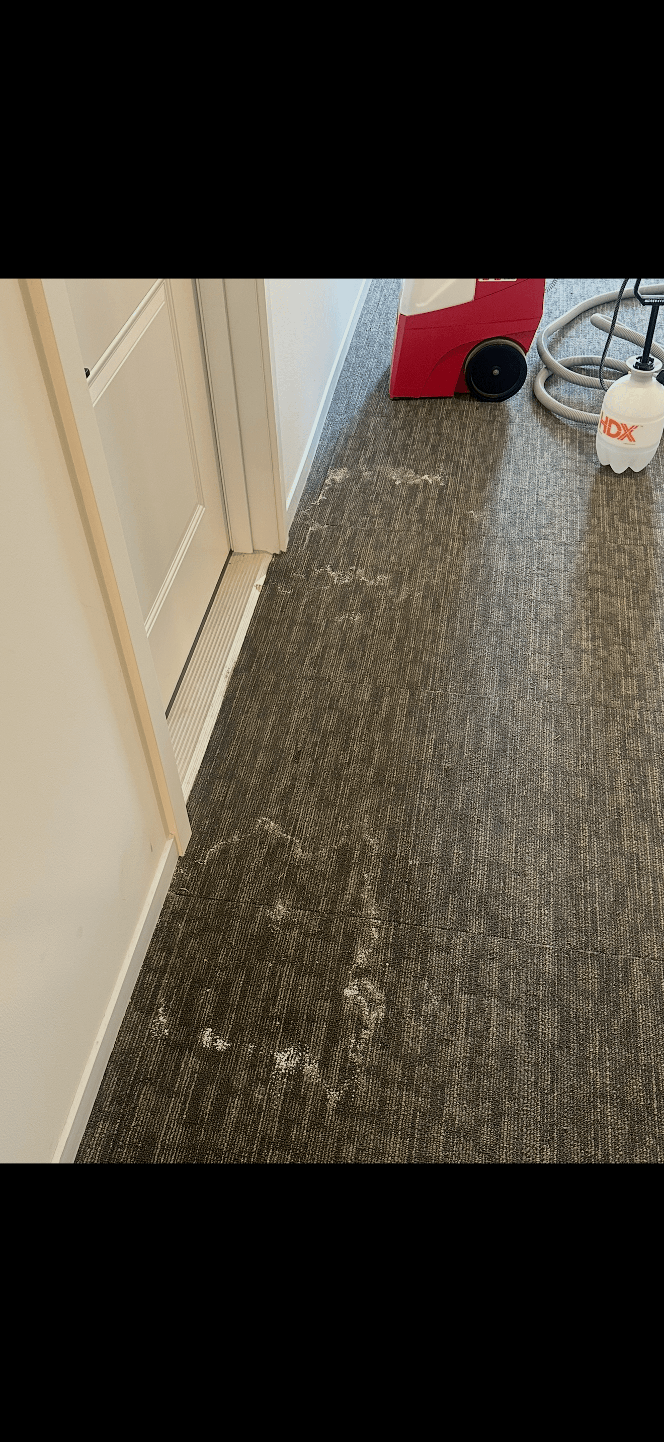 Hallway Carpet Cleaning before cleaning