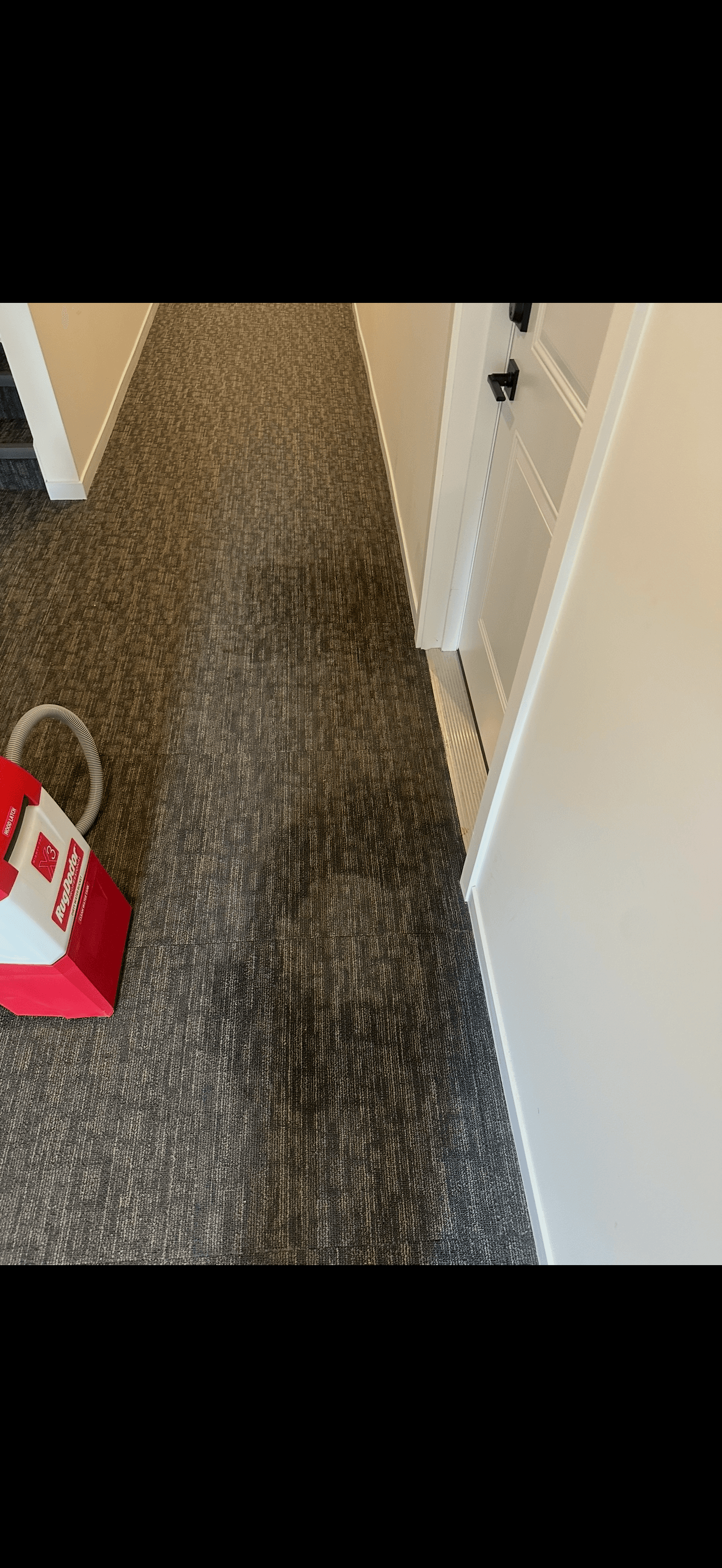 Hallway Carpet Cleaning after cleaning