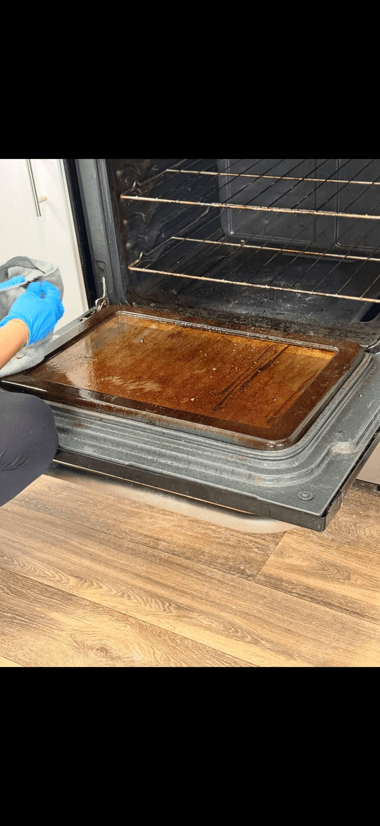 Oven Interior Cleaning before cleaning